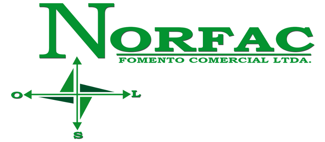 NORFAC LOGO ATUAL